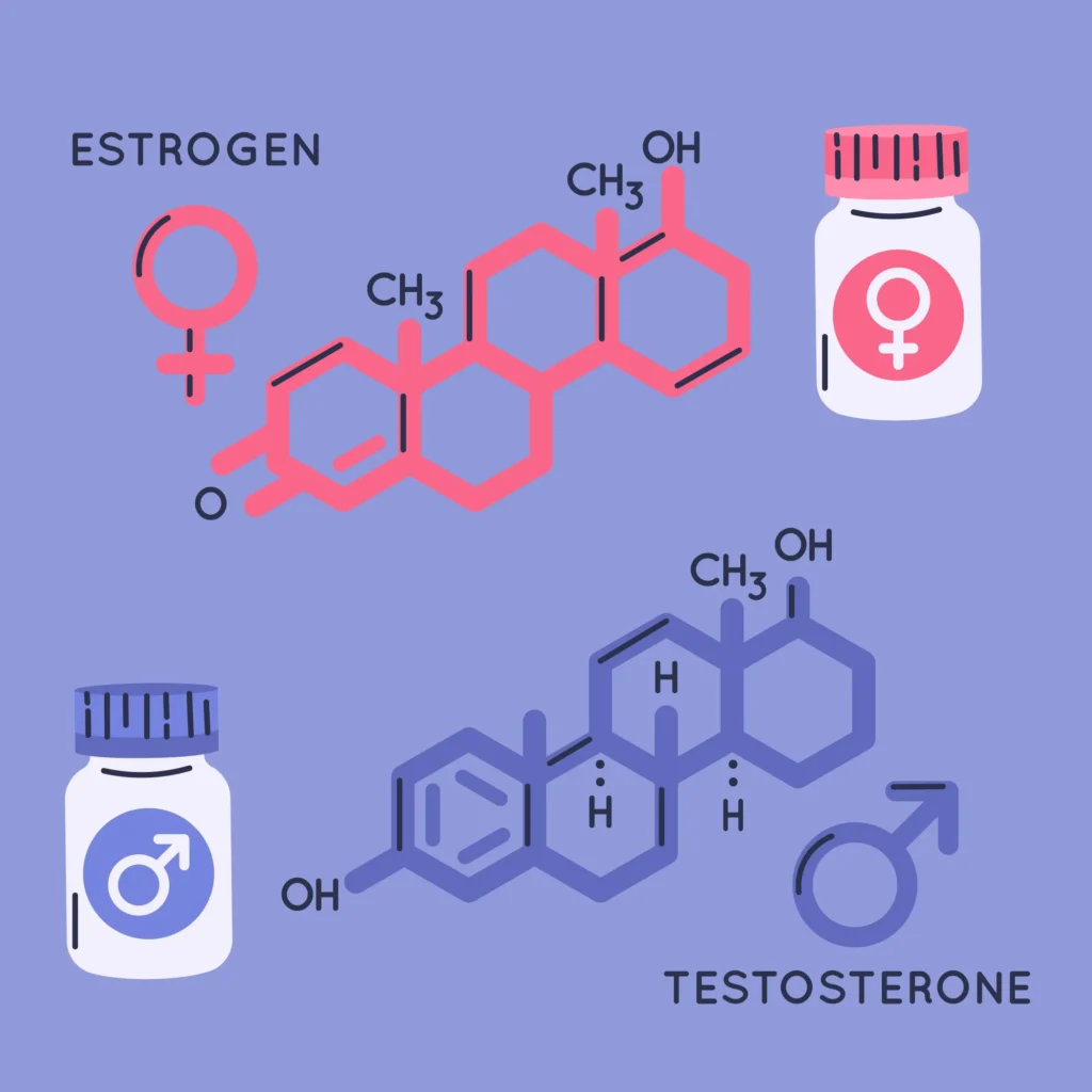 ¿Qué son las hormonas y como funcionan?